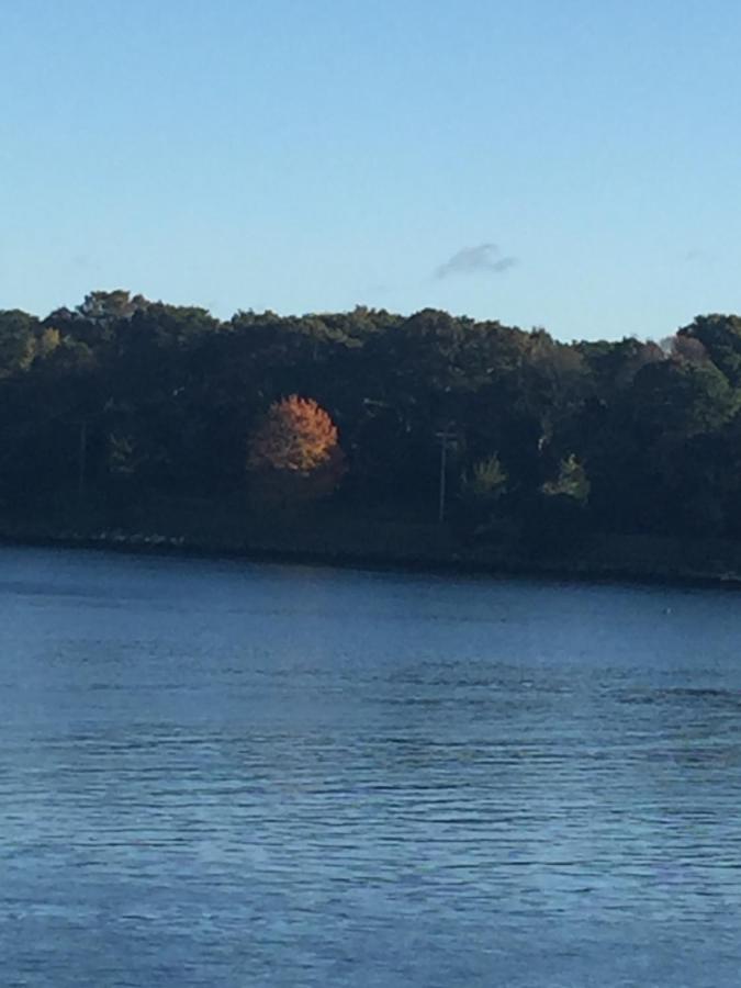 Inn 38 Oak Bluff Circle Plymouth Bagian luar foto