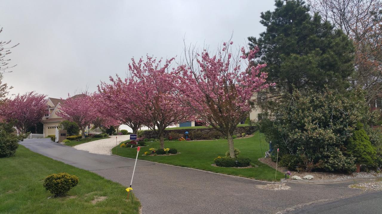 Inn 38 Oak Bluff Circle Plymouth Bagian luar foto